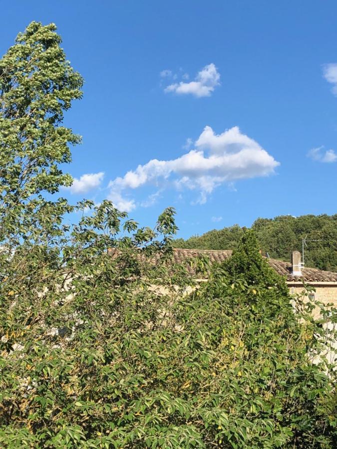 Chez Marius Villa Lagorce  Kültér fotó